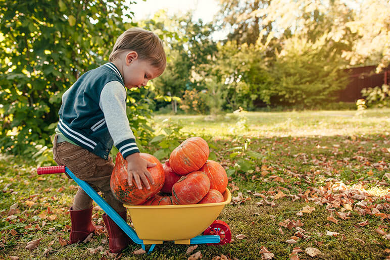 pumpkin patch leo indiana