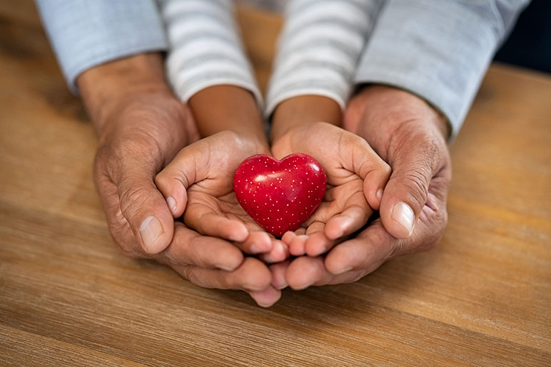 A pair of big hands and small hands all together holding a red heart