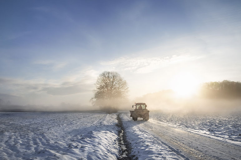 A tractor in a field in Indiana that has cover crops and snow over it