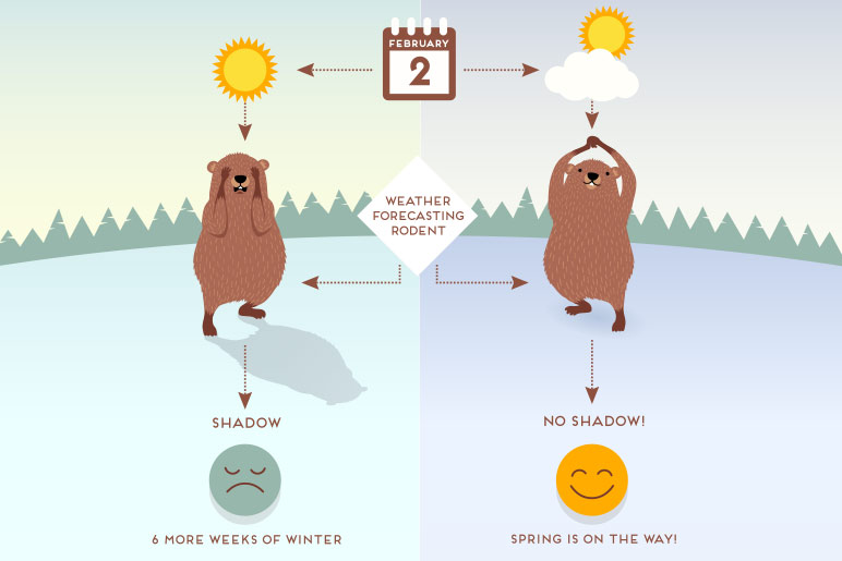 NWS Mount Holly on X: We can quibble about the groundhog all we want.  Outside of a quick shot of snow Friday night, the overall trend is for  warmer temps going into