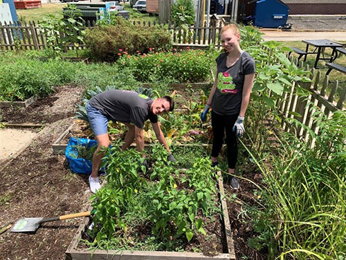 Indiana Farm Bureau Insurance Interns helping in garden as SENSE charter school