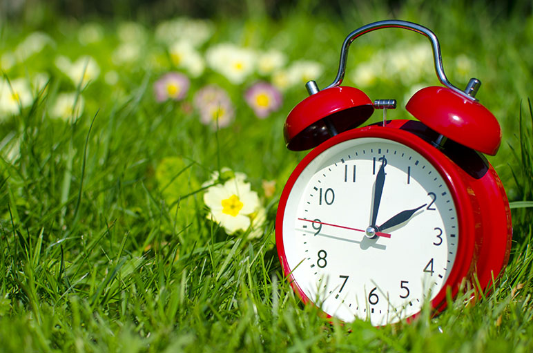 Daylight Saving Time explained: When the clocks change, why we do it, and  what it means