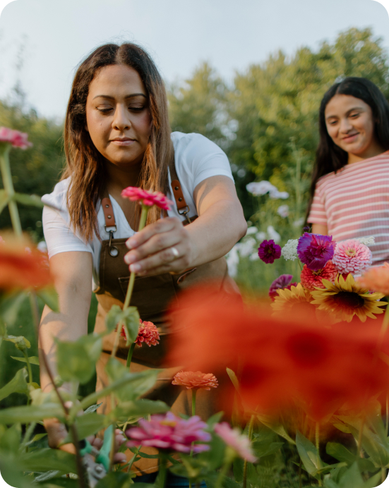 flowrist picking flower from garden